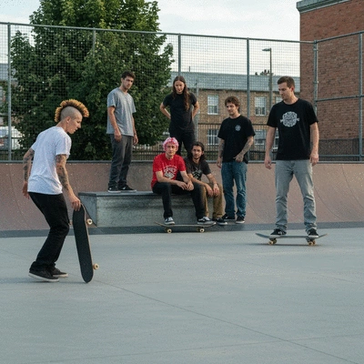 Khalas dates on a branch in a date palm grove, illuminated by soft sunlight