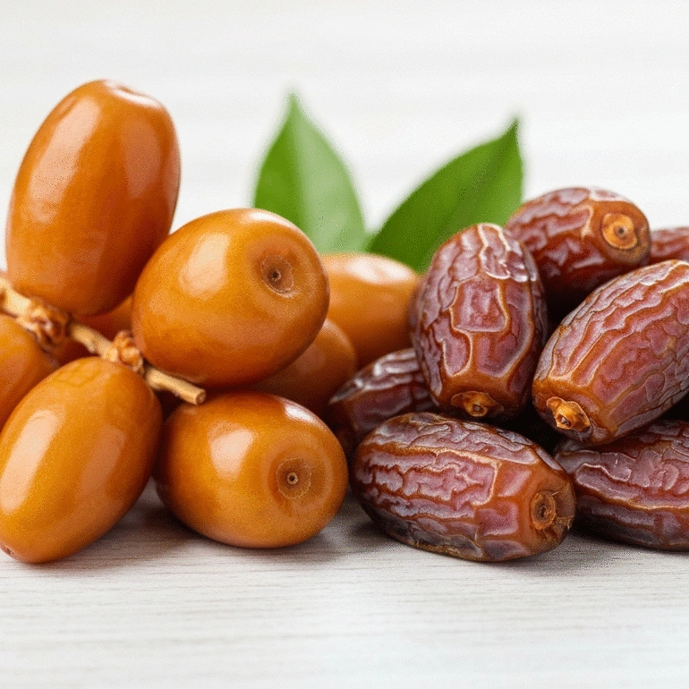 Fresh vs Dried Dates: A Comparison