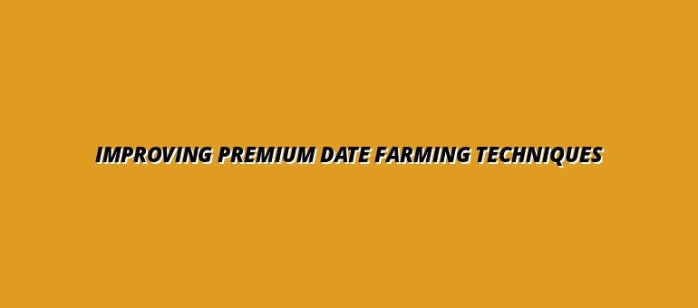 Improving Premium Date Farming Techniques